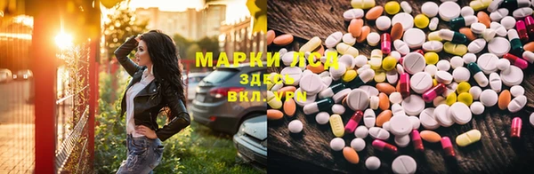 ECSTASY Новозыбков