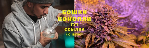 соль ск Нефтекумск