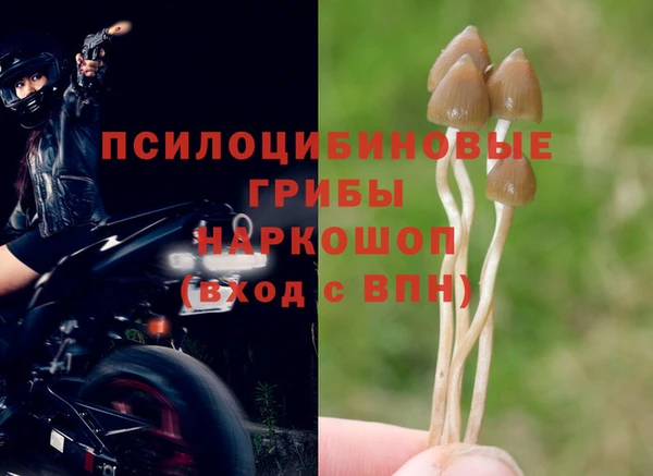 соль ск Нефтекумск