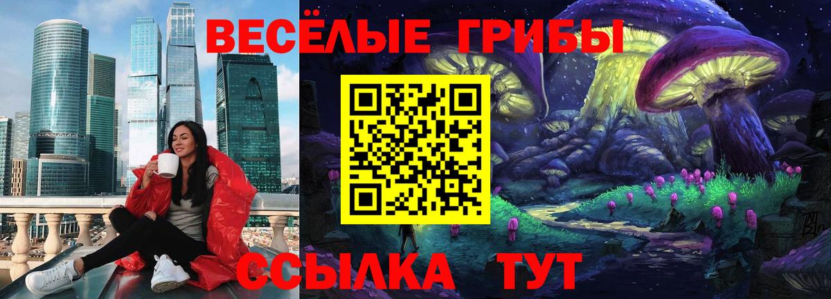 Галлюциногенные грибы GOLDEN TEACHER  Галлюциногенные грибы Cubensis  Вход с VPN  Новый Уренгой 