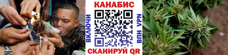 Шишки марихуана SATIVA & INDICA  купить закладку  Новый Уренгой 